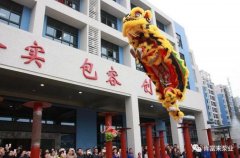 醒狮贺岁，开云官方版入口-开云online(中国)2019年开工大吉